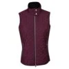 Daily Sports Milla Ladies Wind Vest Purple 2 Daily Sports Milla Ladies Wind Vest Purple -Teepeg Store 8630401899 1