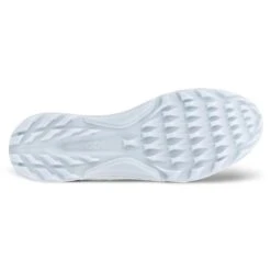 Ecco Biom C4 Gore-Tex Ladies Golf Shoes Bluebell -Teepeg Store image407113916