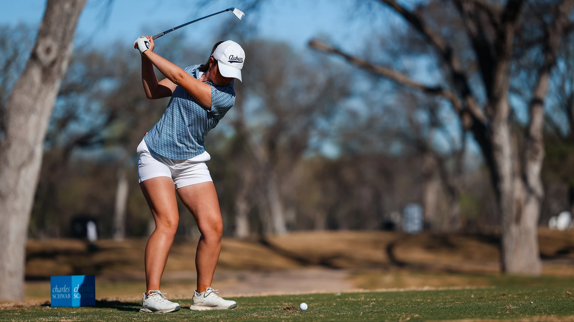 Teepeg Store -Teepeg Store